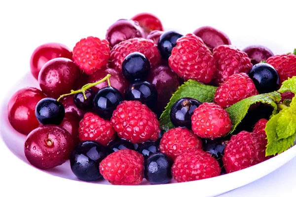 Lot of Berries isolated — Stock Photo, Image