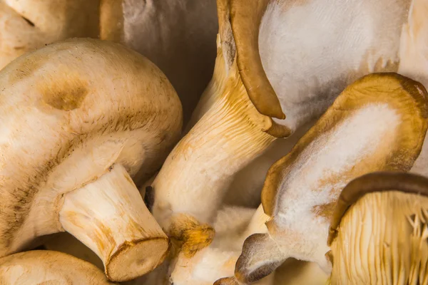 Deliciosos cogumelos Agraicus crus em fundo de madeira — Fotografia de Stock