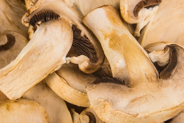 Deliciosos cogumelos Agraicus crus em fundo de madeira — Fotografia de Stock