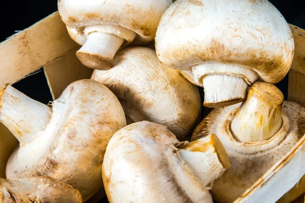 Deliciosos cogumelos Agraicus crus isolados em preto — Fotografia de Stock