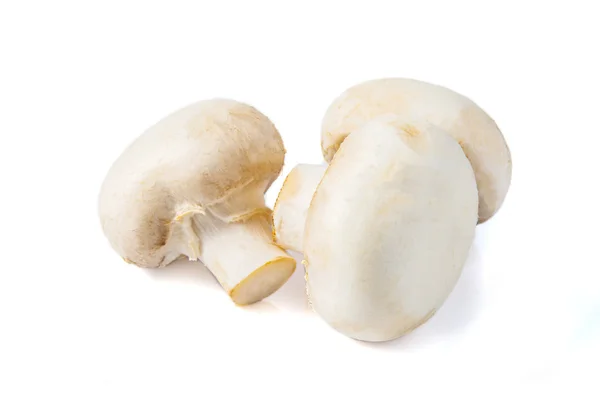 Delicious raw Agraicus mushrooms isolated on white Royalty Free Stock Photos