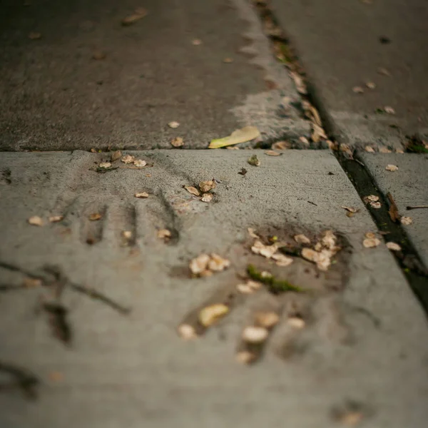 children hand prints in concrete