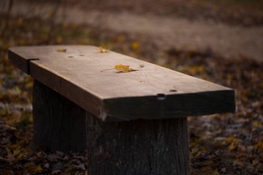 Sonbahar. Sonbahar parkında bankta. Tahta bir bankta sarı bir yaprak uzanıyor. Etrafında farklı renklerde yapraklar var: sarı, kırmızı. Kasım. Hava tahminleri.