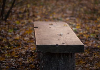 Sonbahar. Sonbahar parkında bankta. Tahta bir bankta sarı bir yaprak uzanıyor. Etrafında farklı renklerde yapraklar var: sarı, kırmızı. Kasım. Hava tahminleri.