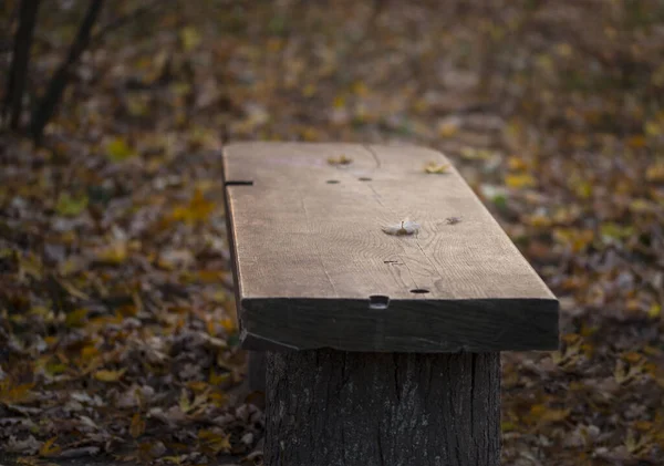 Sonbahar. Sonbahar parkında bankta. Tahta bir bankta sarı bir yaprak uzanıyor. Etrafında farklı renklerde yapraklar var: sarı, kırmızı. Kasım. Hava tahminleri.
