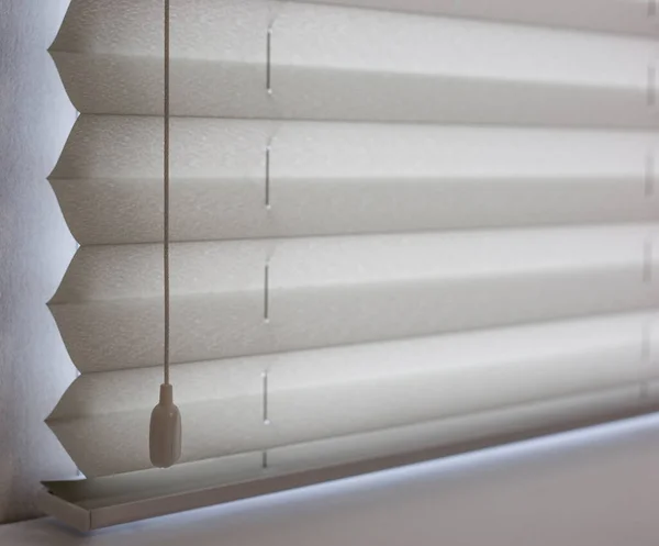 Pleated blinds size XL, 50mm fold, close up on the window, white color, white background. Modern pleated shades, luxury sun protection and window decoration.