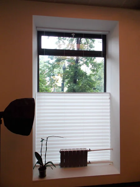 柔和的百叶窗Xl Coulisse 有50毫米折叠特写在窗户打开的内部 家用百叶窗 公寓窗户上自上而下的现代自上而下的隐私遮光罩 — 图库照片