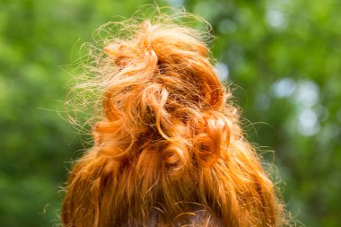 Yeşil arka planda bir sürü kızıl kıvırcık saç. Kızıl saçlı, topuz şeklinde geri çekilmiş. Dalga kesimi. Kızıl kız..