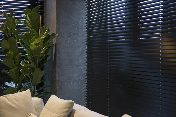 Wood blinds Coulisse black color closeup on the window in the interior. Wooden slats 50mm wide, black tapes. A houseplant is near black wood blinds. Venetian blinds closed in the living room. Sand color sofa is near the window.