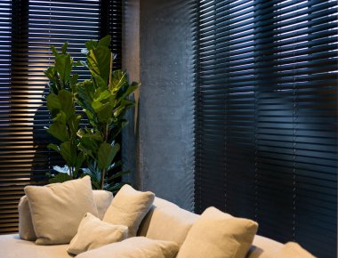 Ahşap, Coulisse 'nin iç taraftaki pencereye yakın plan siyah rengini kör eder. Tahta levhalar 50 mm genişliğinde, siyah bantlar. Bir saksı kara tahta perdelerinin yakınındadır. Oturma odasındaki Venedik panjurları kapalı. Kum rengi kanepe pencerenin yanında..