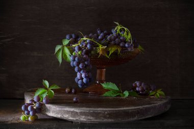 Klasik Hollandalı tarzı, ahşap bir stantta mavi üzümlü, koyu arka planda bir hayat. Yüksek kalite fotoğraf