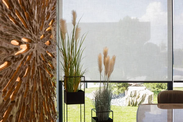 Roller blinds in the interior. Automatic solar shades large size on the window. Modern interior with wood decor panel on the wall. Green plants in hi-tech flower pots. Electric curtains for home. 