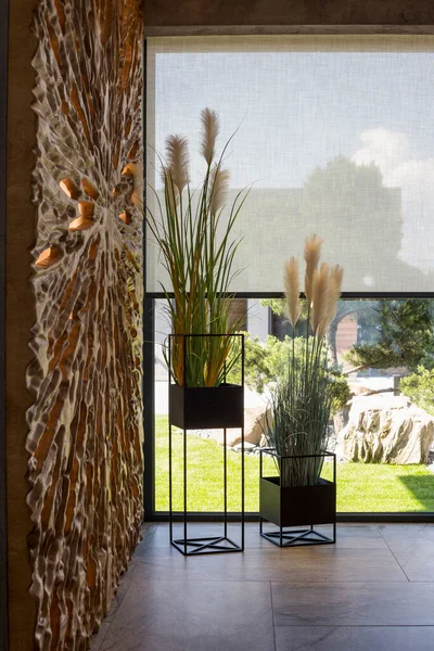Roller blinds in the interior. Automatic solar shades large size on the window. Modern interior with wood decor panel on the wall. Green plants in hi-tech flower pots. Electric curtains for home.