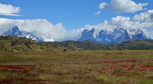 ovalarında torres del paine