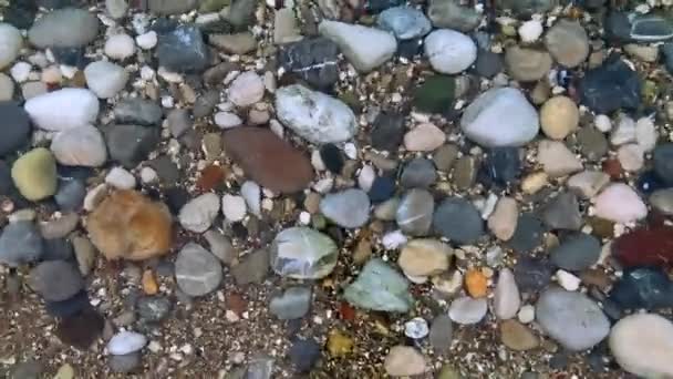 Detalhes da praia de calhau — Vídeo de Stock