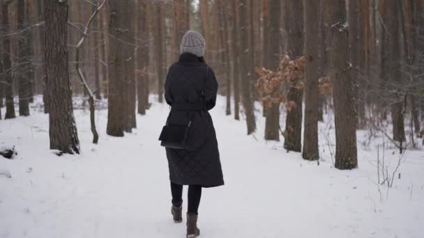 Senhora passeando na floresta — Vídeo de Stock