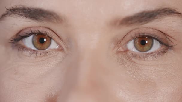 Närbild övre delen kvinnliga ansikte ögon och ögonbryn — Stockvideo