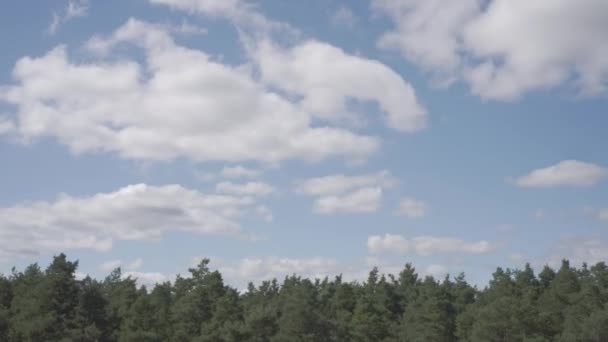 Lapso Tiempo Nubes Movimiento Cielo Azul Por Encima Parte Superior — Vídeos de Stock