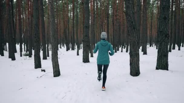 Runner Trains Snowy Road Woman Athlete Sportswear Sprinting Fast Winter — Wideo stockowe