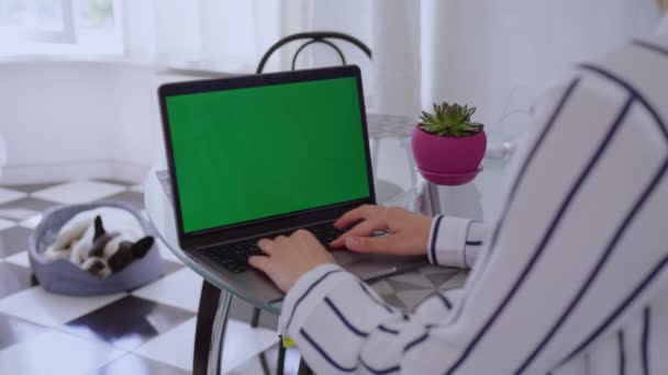 自由职业者坐在桌子旁打字 键盘上有绿色的屏幕 背景上有一只可爱的狗 — 图库视频影像