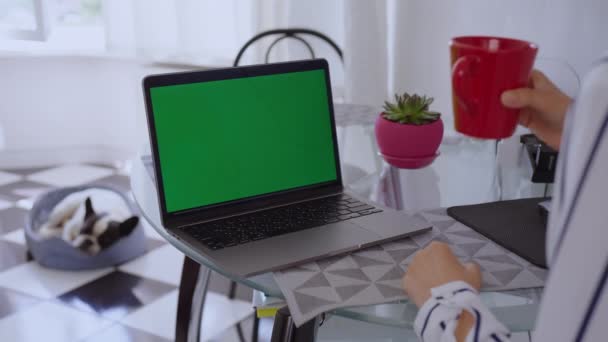 Nierozpoznawalna Kobieta Siedząca Przy Stole Salonie Pijąca Poranną Kawę Laptopie — Wideo stockowe