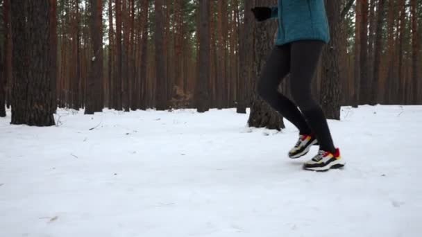 Kocogás Nappal Téli Szezonban Futó Képzés Kitartás Kardió Edzés Hóerdőben — Stock videók