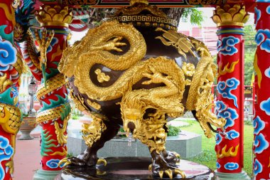 Golden dragon dokunun