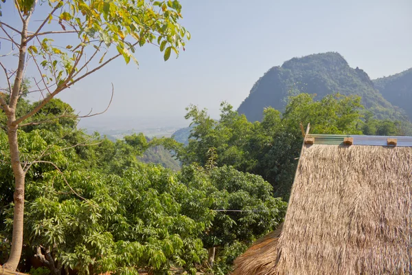 Cabaña de techo hecha de hierba seca. Con un fondo de montaña . — Foto de Stock