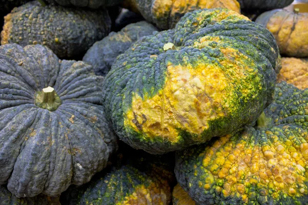 Groene pompoenen. — Stockfoto