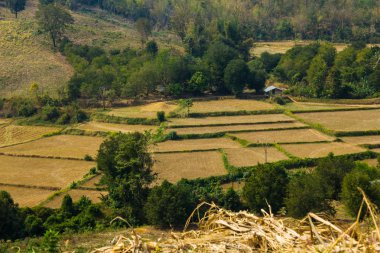 çiftlik manzara yukarıdan.