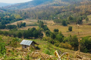 çiftlik manzara yukarıdan.