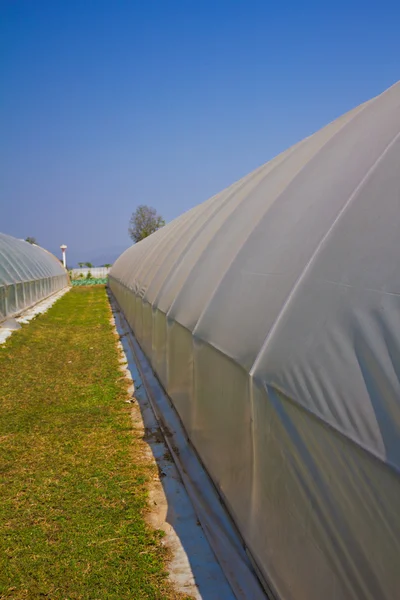 Outside of plastic greenhouse. — Stock Photo, Image