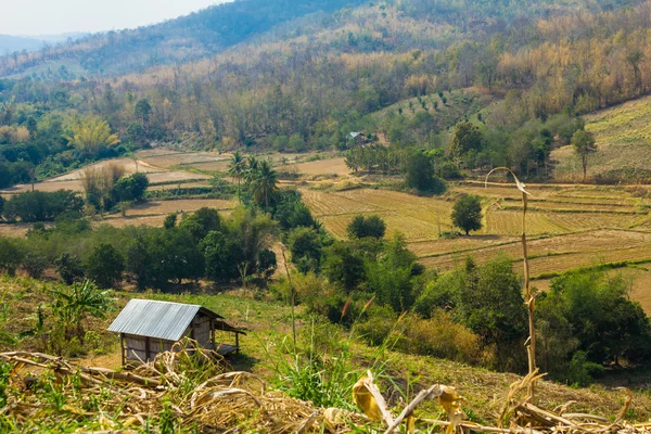 Farm landscape from above. — Stock Photo, Image