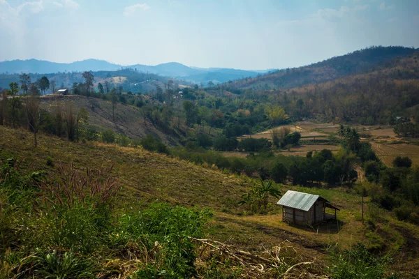 Farm landscape from above. — Stock Photo, Image