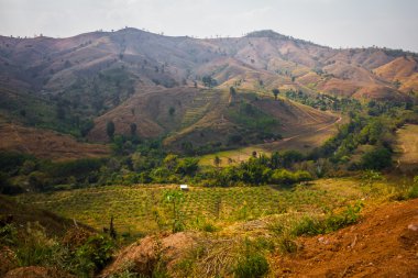 çiftlik manzara yukarıdan.