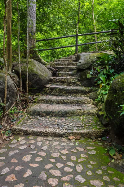 Gradini in pietra che conducono ad una cascata nella foresta profonda . — Foto Stock