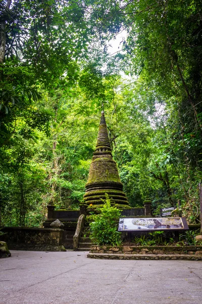 Old pagoda in the jungle, covered with moss. — Stock Photo, Image