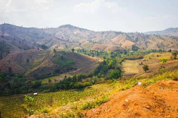 Bauernlandschaft von oben. — Stockfoto