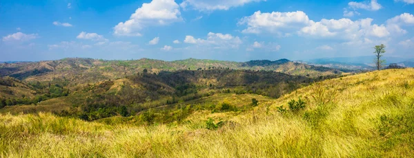 Piękny krajobraz z kręta droga w góry (panorama — Zdjęcie stockowe