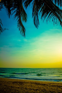dream Beach