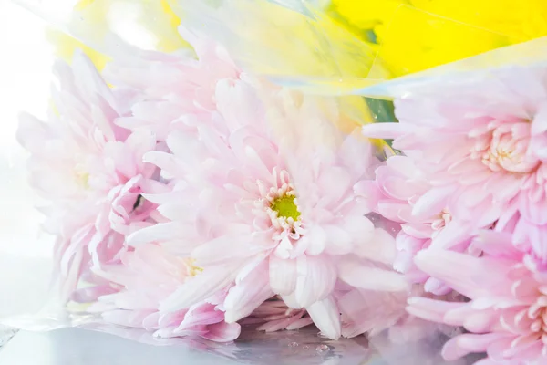Hermoso ramo de crisantemo envuelto en lámina de plástico —  Fotos de Stock