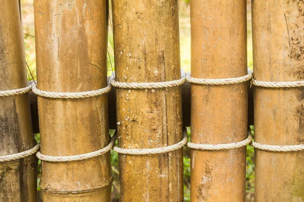 Parede de bambu — Fotografia de Stock