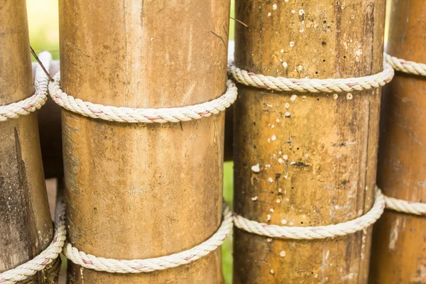 Bamboo wall — Stock Photo, Image