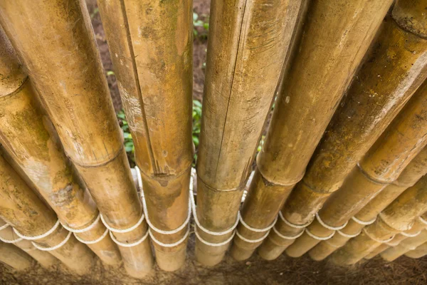 Bamboo wall — Stock Photo, Image