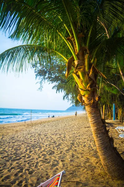 Spiaggia tropicale nel golfo della Thailandia — Foto Stock