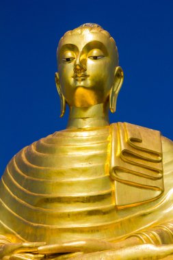 Altın buddha