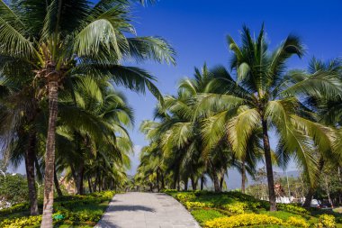 Yaz aylarında güzel bir Bahçe