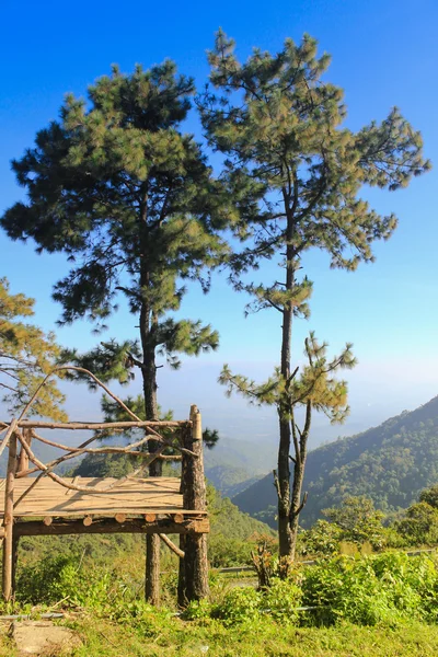 美丽的山，在夏天 — 图库照片