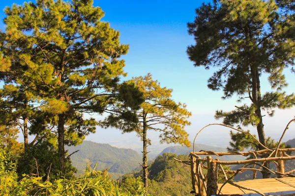 Hermosa montaña en verano — Foto de Stock