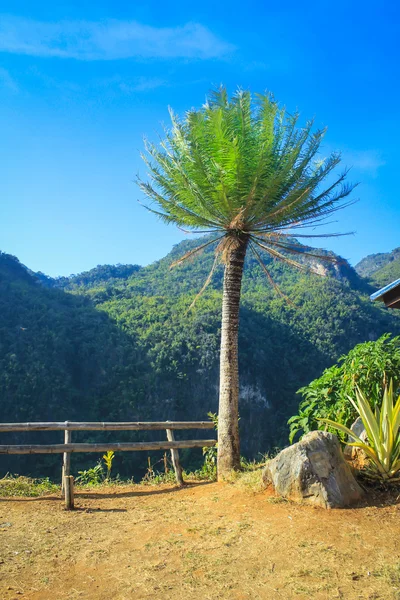 夏天的山 — 图库照片